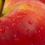ABOUT HEALTH AND DISEASE – Talks on Classical Homeopathy Part 3 – Discussion with Geroge Vithoulkas