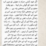 <font face="jameel noori nastaleeq">ذہنی اور نفسیاتی مسائل میں ہومیوپیتھک علاج کے اثرات – ایک مریض کے تاثرات (حسین قیصرانی)۔
